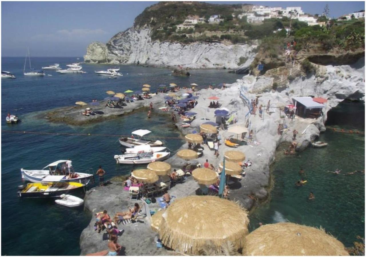 Hotel Ortensia Ponza Extérieur photo